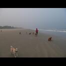 … und Rahana mit einem Teil der Hunde